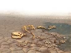 Permian Extinction 95+% of marine life and over 70%