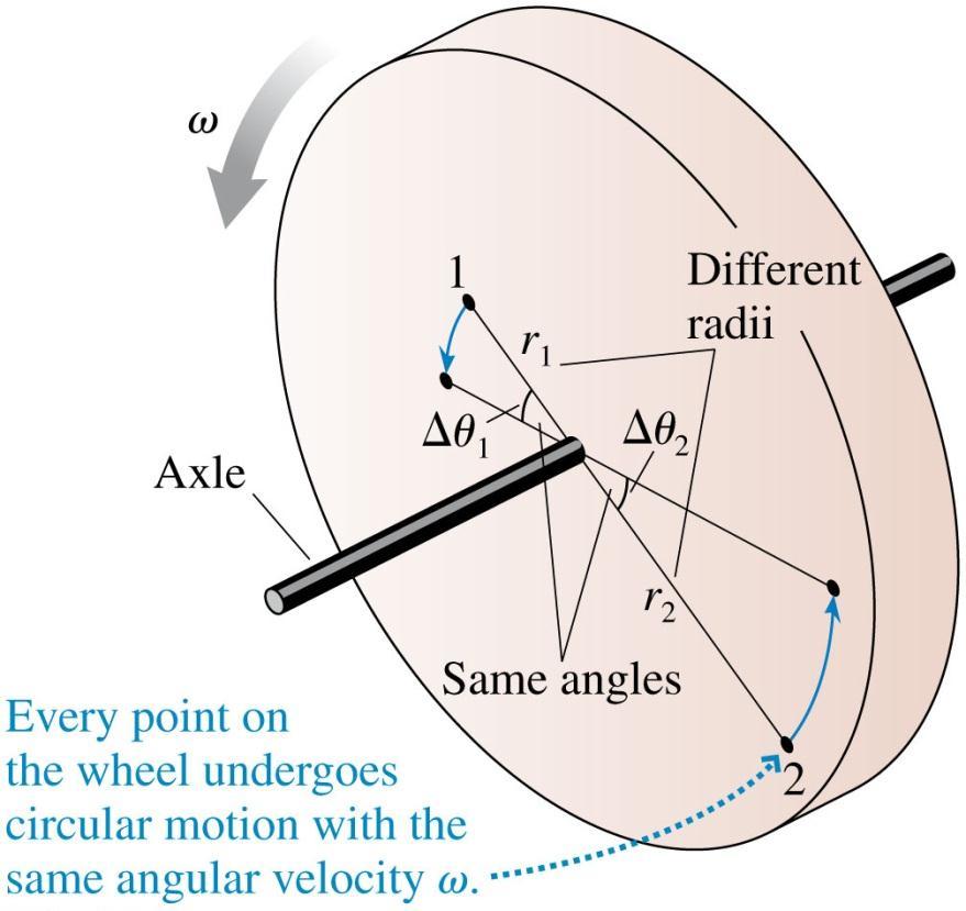 Angular Velocity of a Rotating Object The figure shows a wheel rotating on an axle Points 1 and 2 turn through the same angle as the wheel rotates That is, Δθ 1 = Δθ 2
