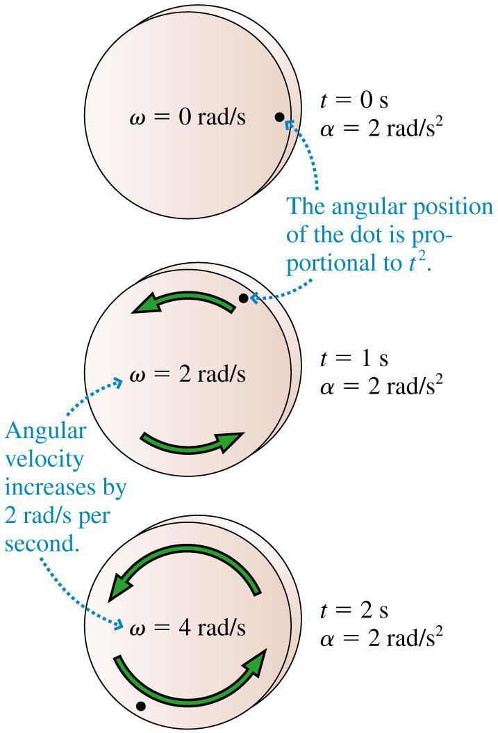Angular Acceleration Suppose a wheel s rotation is speeding up or slowing down This is called nonuniform circular motion We can define