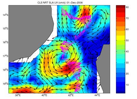 The Mozambique channel is characterised by high levels of mesoscale variability dominated by large anticyclonic eddies.
