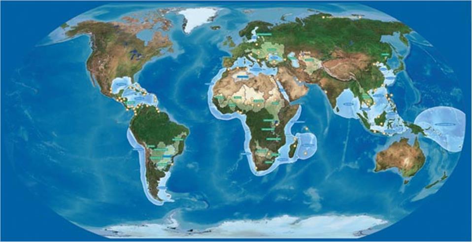 Large Marine Ecosystems The Agulhas and Somali Current and Mascarene region are three Large Marine Ecosystems (LMEs) situated off the east coast of Africa.