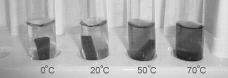 E. Transport in cells 1. The image below shows beetroot in different temperatures of water. The beetroot pieces are all the same size and shape and this is the result after 20 minutes.