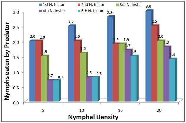Fig 3: Different densities of nymphal instars of eaten by P.