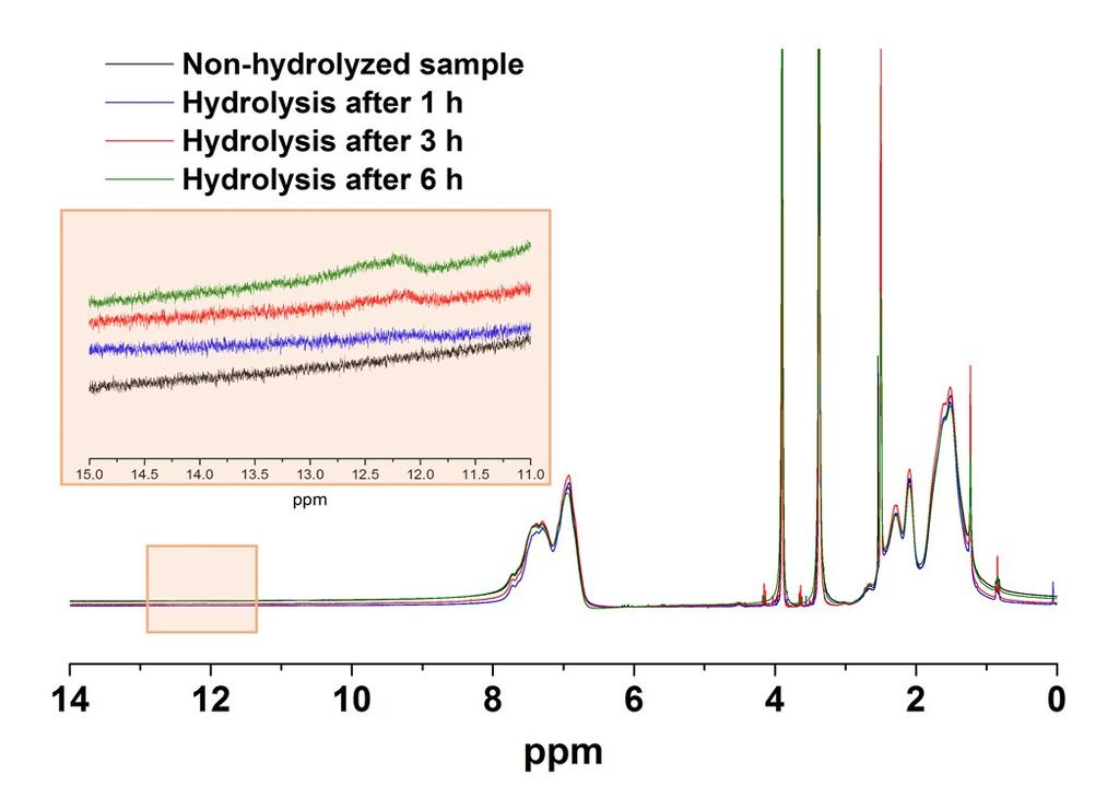 The acid catalyzed hydrolysis neither changed the characteristic backbone signals at 1.2-2.4 ppm nor the amide corresponding peak at 6.5-8 ppm.
