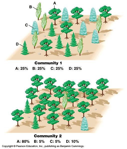 Community Structure Species diversity is important to community structure. Two components: 1. Species richness => number of different species 2.