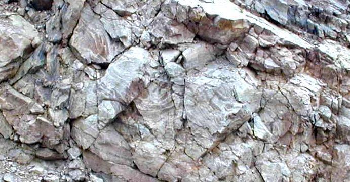 Michigan Stromatolites