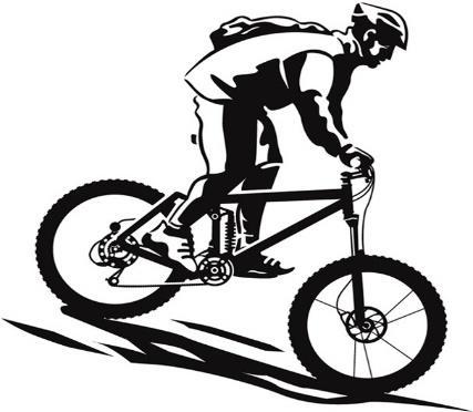 8. Sean is travelling on his bicycle along a level road when he brakes and stops suddenly to avoid a dog which crosses his path. Sean finds himself thrown forwards from his bike.