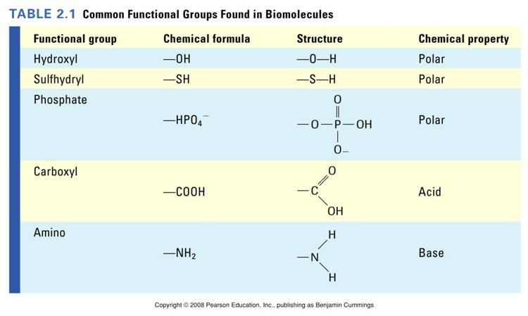 Functional groups in biomolecules Groups of atoms