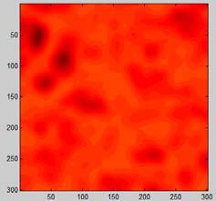 Stokes parameter distributions The spatial variation of polarization in the speckle pattern is confirmed through the Stokes parameter distributions.