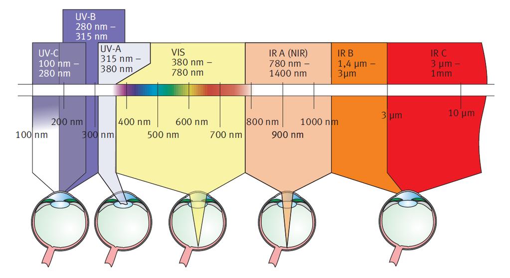 ~ 0.1 Mio W/m² (2mm pupil) Different wavelength penetrate differently deep in the eye