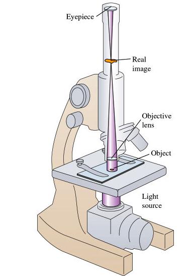 Microscope Magnifying power " M!