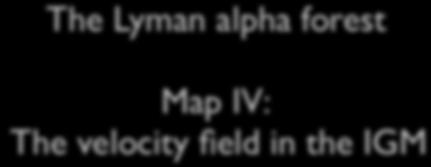 The Lyman alpha forest Map