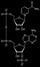 e - Nicotinamide