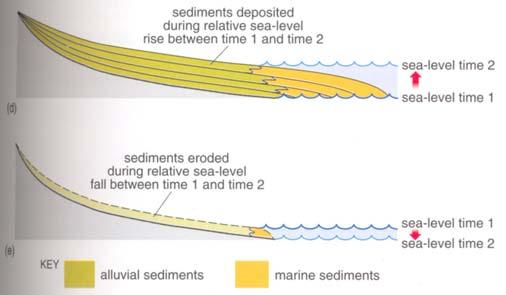 sedimentary response to