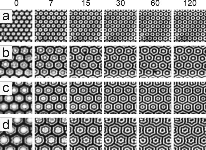 Photochemical Induction of Turing Superlattices J. Phys. Chem. A, Vol. 109, No. 24, 2005 5383 Figure 2.
