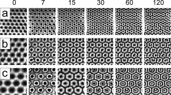 5384 J. Phys. Chem. A, Vol. 109, No. 24, 2005 Berenstein et al. Figure 4. Development of hexagonal superlattices induced with opaque spot hexagonal masks with R ) (a) 2.0, (b) 3.0, and (c) 4.0. Frame size is 5 5mm 2.