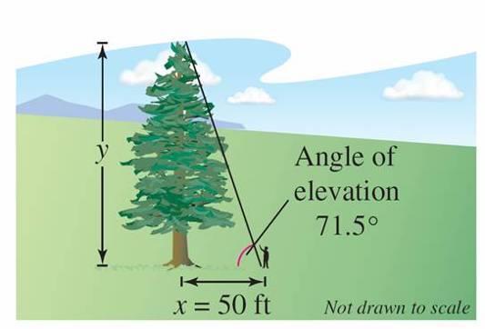 Example 8 Using Trigonometry to Solve a Right Triangle A surveyor is standing 50 feet from the base of a large tree, as shown in Figure 4.20.