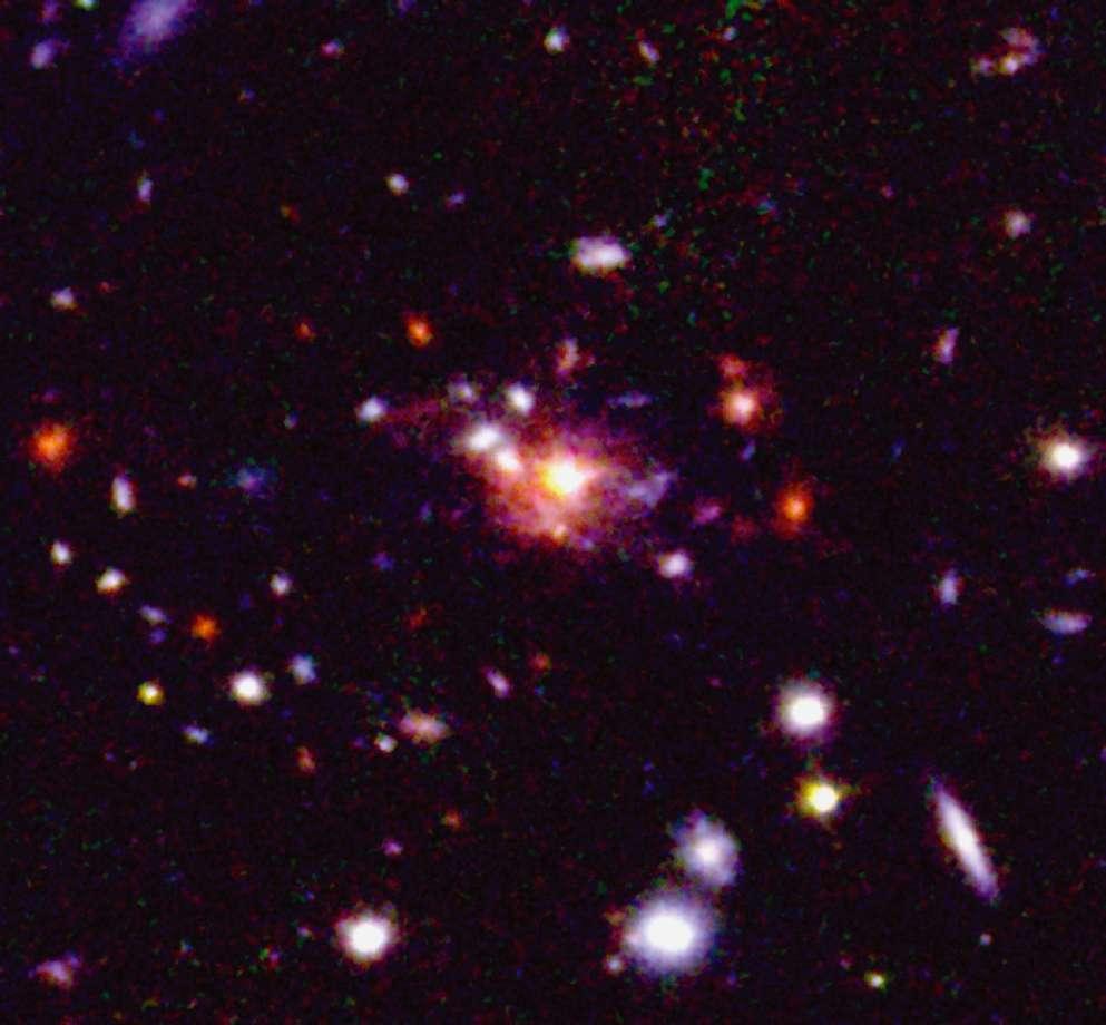 Star formation in z~2 clusters 300 kpc 150 kpc The Spiderweb Complex (z=2.