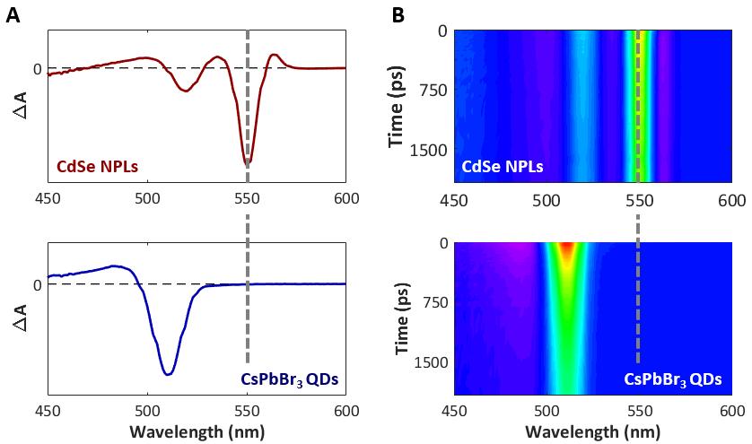 6 Transient Absorption Spectra In the main text, Figure 2 shows the bleach of pure CdSe and a film containing both CdSe and CsPbBr 3 at 551 nm.