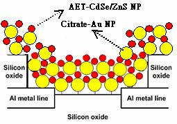 (e) Fig. 3.7 The overall fabrication process of the photo-sensing nanodevice by Coulombic force system on the silicon chip substrate is shown above.