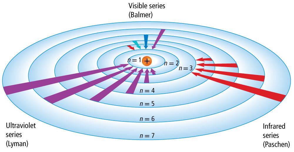 Bohr's Model of the Atom (cont.) Bohr's Model of the Atom (cont.) Bohr's Model of the Atom (cont.) Bohr s model explained the hydrogen s spectral lines, but failed to explain any other element s lines.