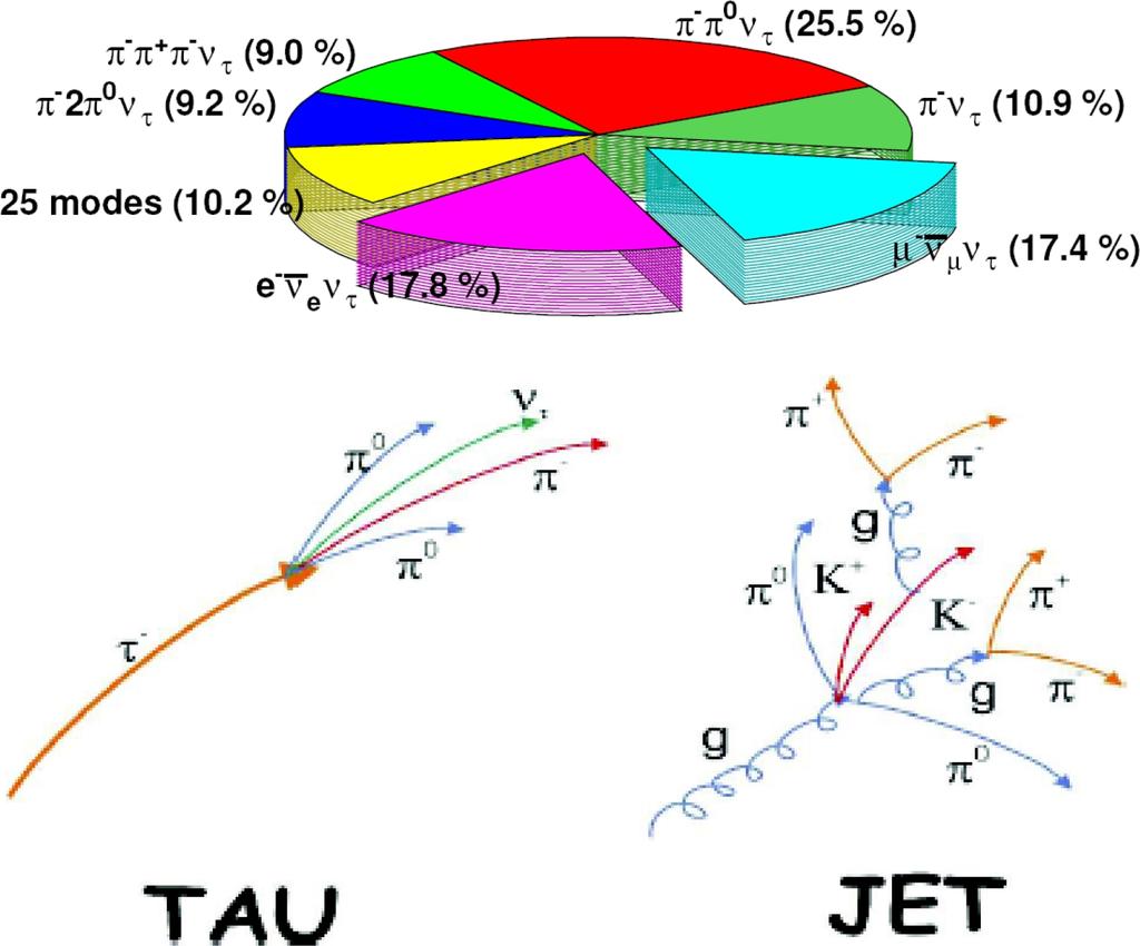 Basic Tau Properties Tau Characteristics m τ 1.