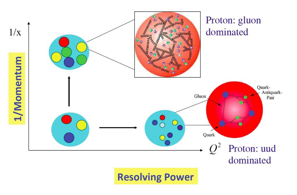 The proton structure 4 Study the proton structure as a function of x (Balitski Fadin Kuraev Lipatov evolution equation) or as a function of Q (Dokshitzer Gribov Lipatov