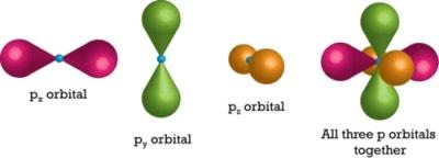The atomic orbitals The p atomic orbital Dumbbell shaped Three p atomic orbitals px, py, pz all with boundary surfaces