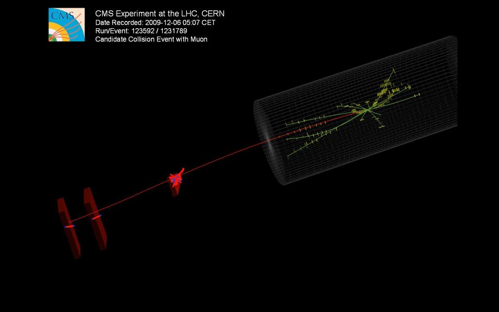 Muons in collisions: