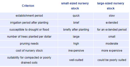 Comparison of Small to Large Sized Nursery Stock
