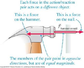 Do Action-Reaction Forces Cancel? Why don t the action and reaction forces in Newton s third law of motion cancel out?