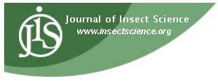Modification of non-vector aphid feeding behavior on virusinfected host plant Zuqing Hu 1, Huiyan Zhao 1*, Thomas Thieme 2 1 State Key Laboratory of Crop Stress Biology in Arid Areas, college of