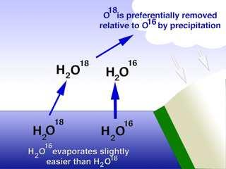 Water isotopes and temperature Water molecules containing 18 O are heavier than