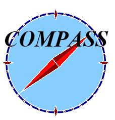 g at low x new COMPASS high precision data important for extrapolation at
