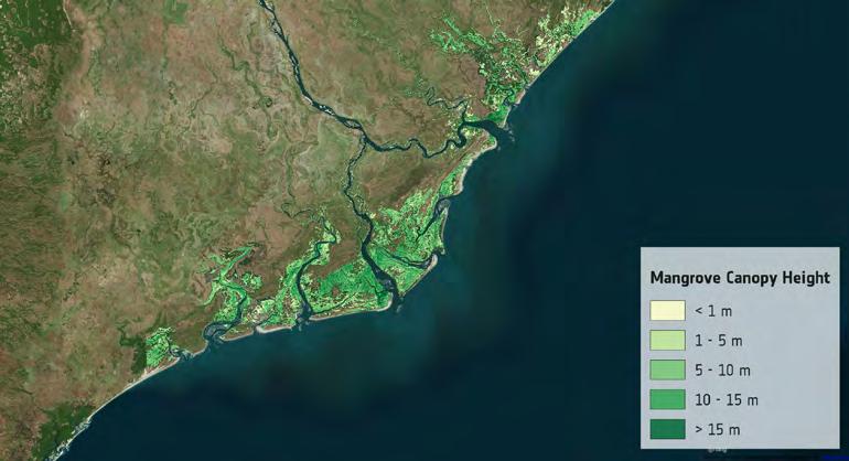 Tana river, Kenya Zambezi delta EO input data: SRTM and/or ACE2 digital elevation model; FEWS-RFE and/or TRMM precipitation estimates; Virtual station radar altimetry time series (Jason, AltiKa,