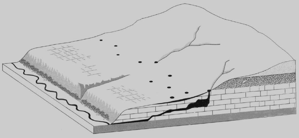 Question 6: Study the figure (Picture 6) which shows an area of limestone or karst landscape. a. Insert the following letters on the diagram below to correspond with the following limestone features.