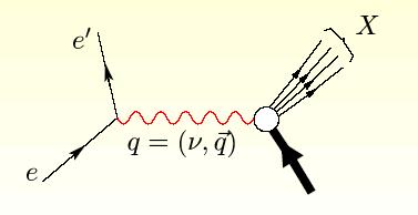 Polarized muon + proton deep-inelastic scattering It measures