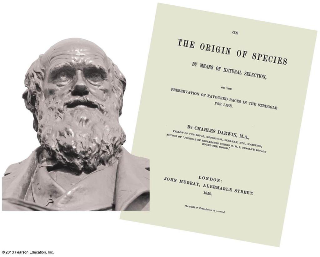 The Darwinian View of Life 49 Figure 1.11a 50 The evolutionary view of life came into focus in 1859 when Charles Darwin published On the Origin of Species by Means of Natural Selection.