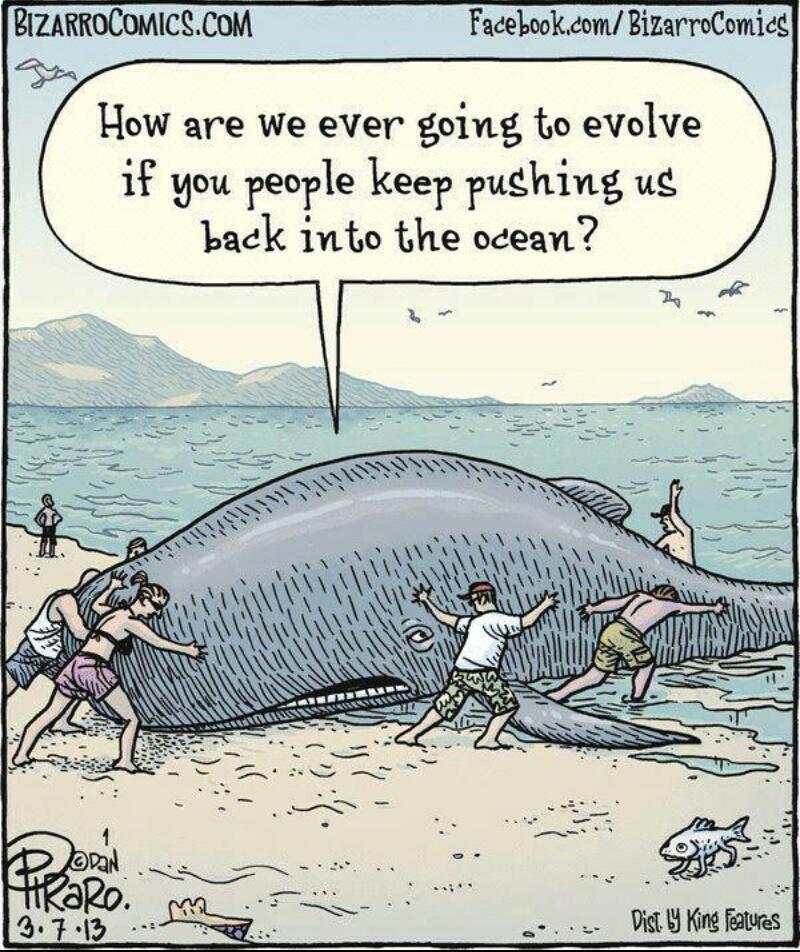 Unit 2: Evolution Part B Lesson Topic Learning Goals 1 Lab Mechanisms of Evolution Cumulative Selection - Be able to describe evolutionary mechanisms such as genetic variations and key factors that