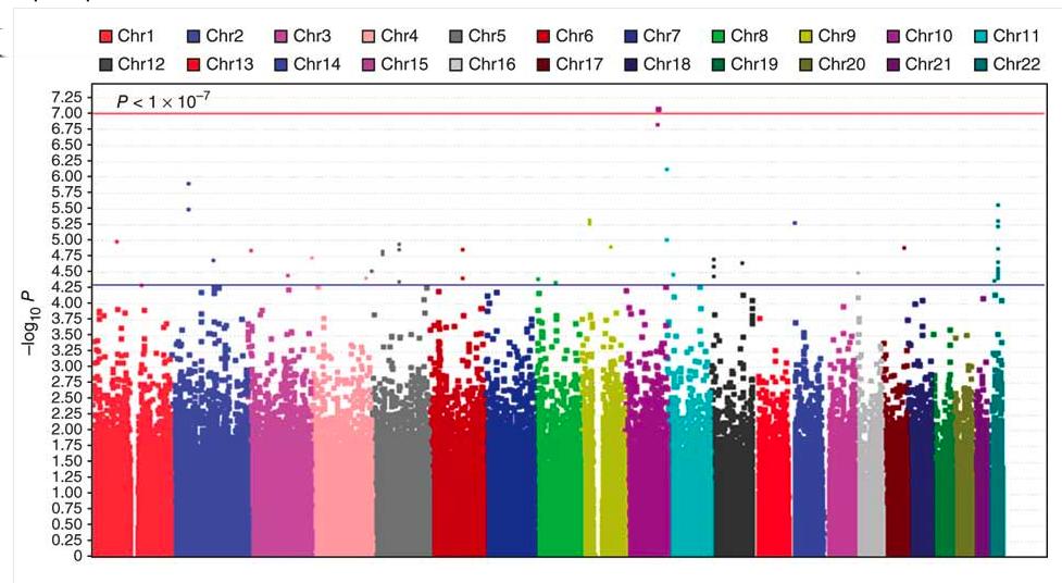 A common application of Bonferroni A genome-wide association study identifies three loci associated with susceptibility to uterine fibroids For each