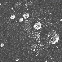 VLA, MESSENGER evidence VLA mapping radar from Goldstone MESSENGER radar Ice in polar craters