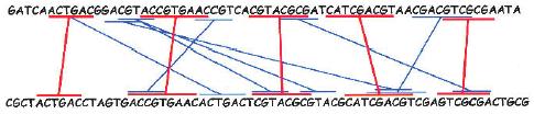 Bray et al, Genome Res 2003 Blue + Red: all maximally repeated matches Red: anchor set n anchors n+1 regions to be aligned Add any matches that were discarded because they were too short on the first
