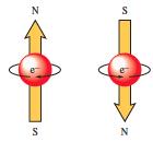 CONCEPT: THE FOURTH QUANTUM NUMBER An electron in an atom is described completely by a set of four quantum numbers. The first three describe its and the fourth describes its.