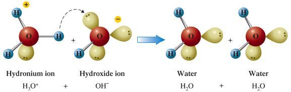 Section 10.5 Ionization Constants for Acids and Bases Base Ionization Constant The equilibrium constant for the reaction of a weak base with water.