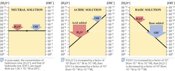 Ion Product Constant for Water At 24 C: K w = [H 3 O + ][OH ] = 1.00 10 14 No matter what the solution contains, the product of [H 3 O + ] and [OH ] must always equal 1.00 10 14. Relationship Between [H 3 O + ] and [OH ] Copyright Cengage Learning.