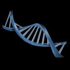 DNA What molecule allows hereditary