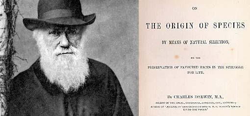 Early Evolu3onary Studies 200 th Anniversary of birth of Charles Darwin
