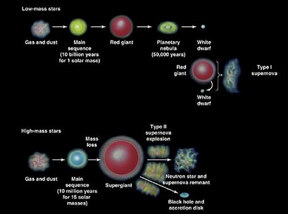 2007) Two Basic Types of Supernovae What s left behind after a massive star goes supernova?