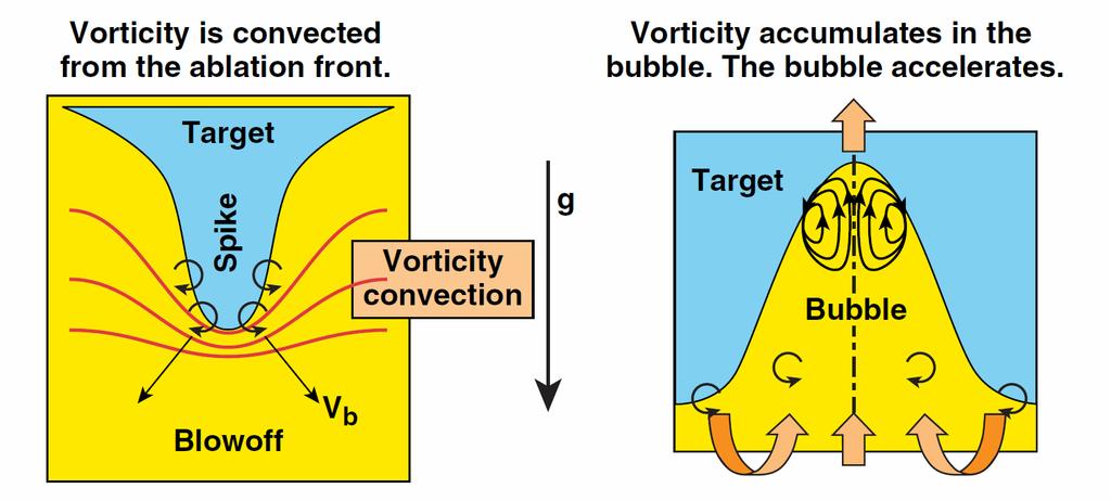 In the deeply nonlinear phase, the vorticity accumulates inside the bubble raising