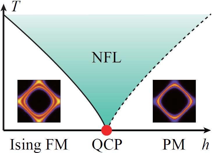 Quantum Monte Carlo Determinantal QMC for fermions Fermions couple to critical bosonic mode Itinerant quantum critical point Non-Fermi-liquid Self-Learning Monte Carlo methods Matter fields couple to